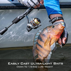 KastKing Kestrel Finesse Spinning Rod